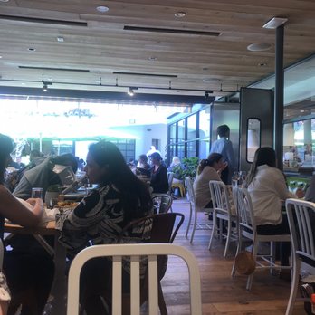 True Food Kitchen - Interior inside seating - Vegetarian Near Me - Pasadena, California True Food Kitchen - Interior inside seating - Vegetarian Near Me - Pasadena, California