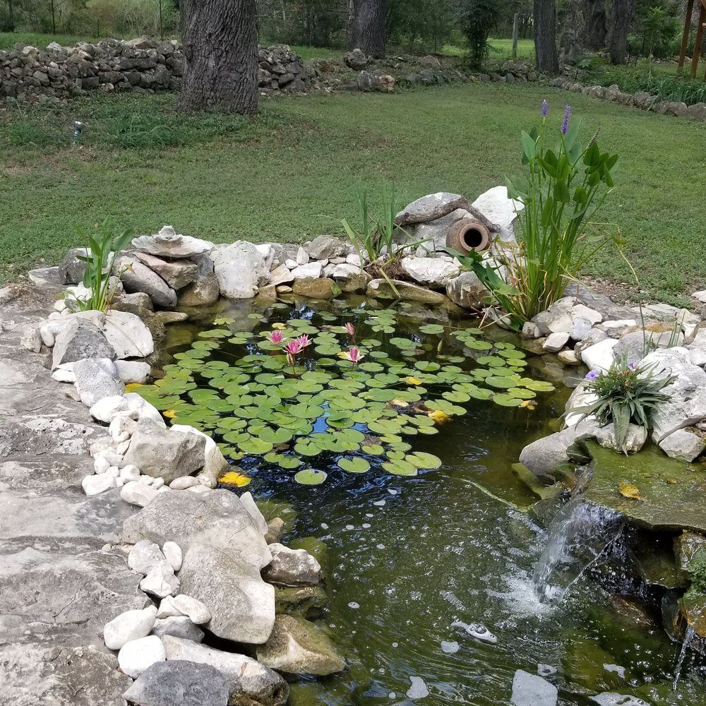 Aquatic Escapes - Goldfish pond - Landscape Architects or Designers Near Me