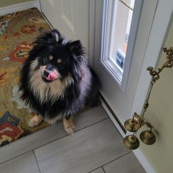 Huron Veterinary Clinic