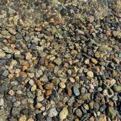 Cates Park - Colorful pebbles