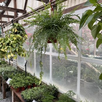 Half Moon Bay Nursery - Nurseries & Gardening Near Me - Half Moon Bay, California