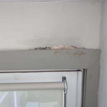 The Edition - Mold that spread from July 2020 water leak - Apartments Near Me - Hyattsville, Maryland