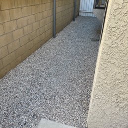 Back yard
