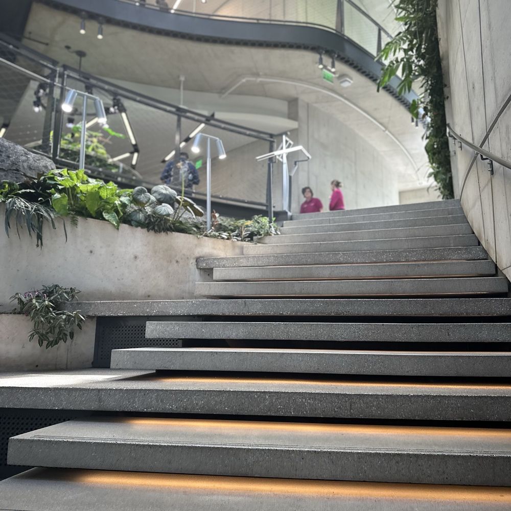 Amazon Spheres - Botanical Gardens Near Me - Seattle, Washington