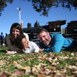 McCormick-Stillman Railroad Park