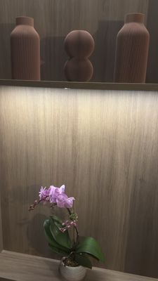 Mori by null