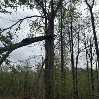 Outlaw Tree & Debris - Tree Services Near Me - Corinth, Mississippi