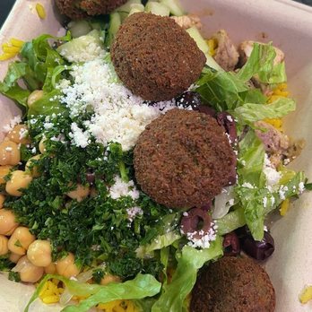 Olive U Mediterranean Grill - Falafel - Mediterranean Near Me - Wellington, Florida Olive U Mediterranean Grill - Falafel - Mediterranean Near Me - Wellington, Florida