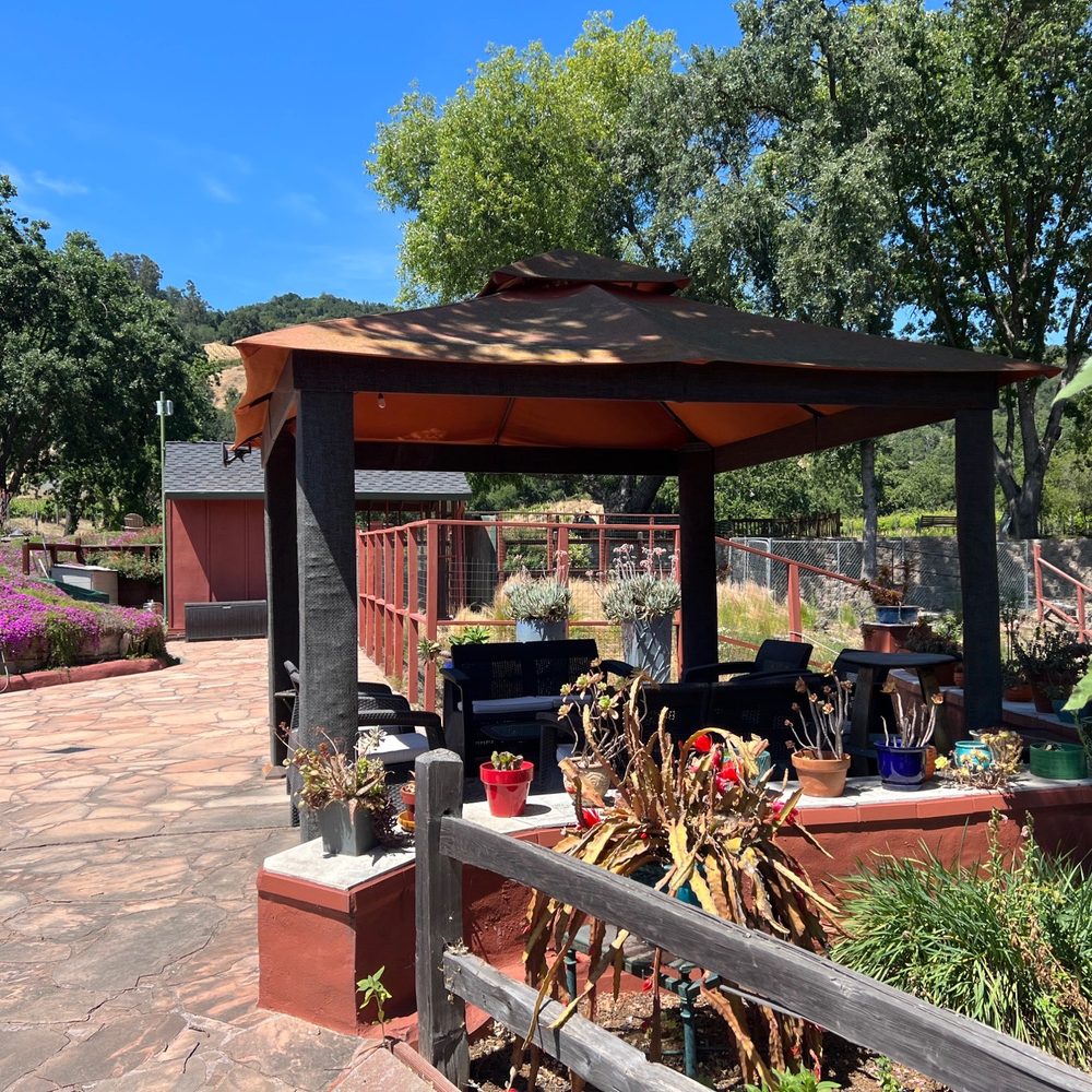 Martin Ranch Winery - a patio with a gazebo - Wineries Near Me - Gilroy, California