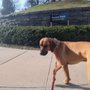 Photo of Forest Park Barking Lot
