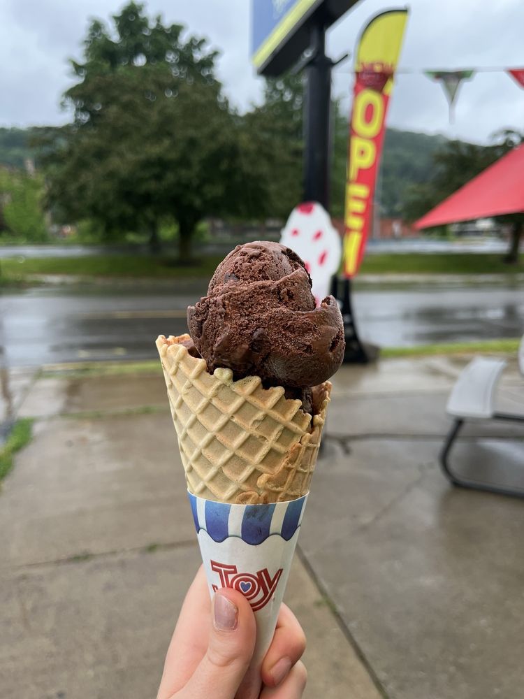 Food from Papa Scoop's