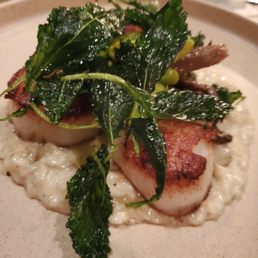 Scallop Dinner