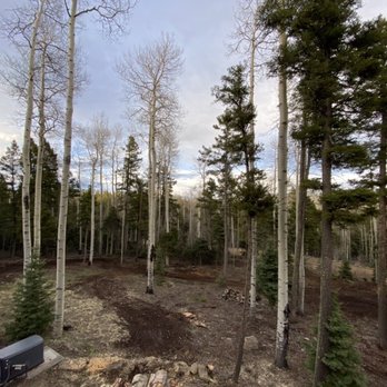 Wilson's Tree Service - East view - Tree Services Near Me - Red River, New Mexico