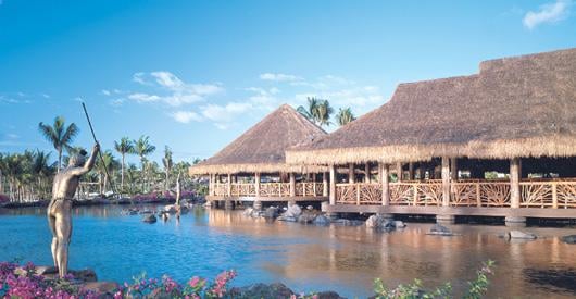 Humuhumunukunukuāpuaʻa by null