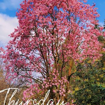 Washington Park Arboretum - Parks Near Me - Seattle, Washington Washington Park Arboretum - Parks Near Me - Seattle, Washington