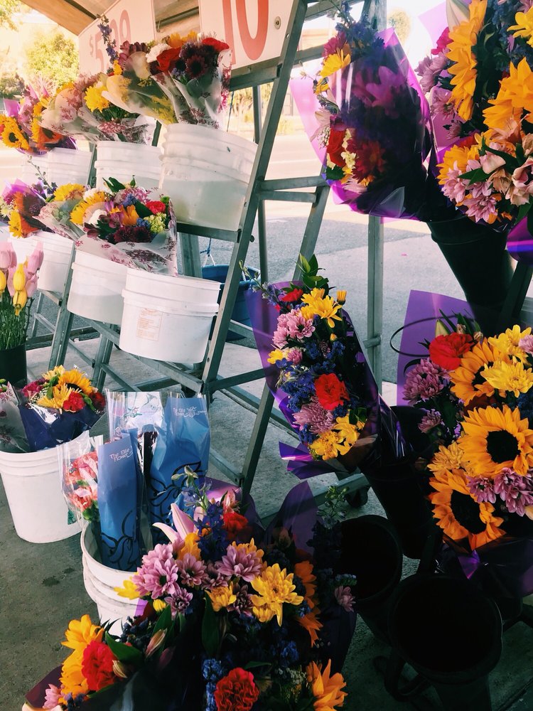 WESTERN TRANSFLORAL Updated September 2024 3009 Harbor Blvd, Costa