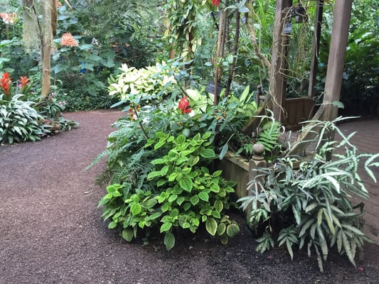 Naturospace Honfleur by null