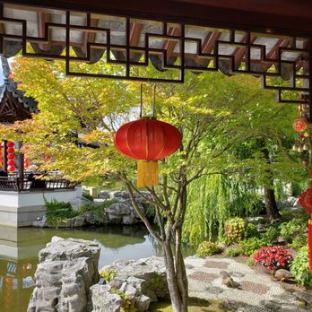 Dunedin Chinese Garden - Very tranquil setting  "Beautiful " - Botanical Gardens Near Me - Otago, OTA