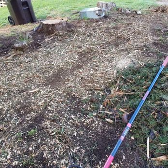TKM Solid - Tree Services Near Me TKM Solid - Tree Services Near Me