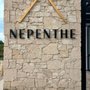 Photo of Nepenthe Wines