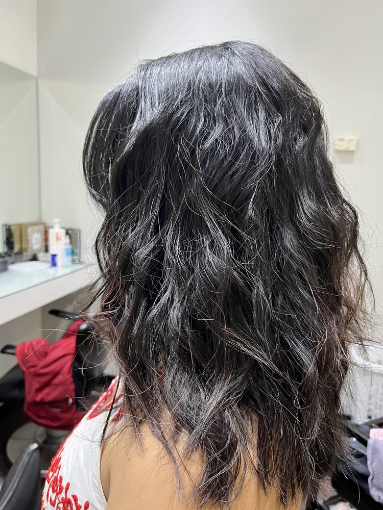 ZENNKAI SALON Updated August 2024 24 Reviews 4820 Kingsway