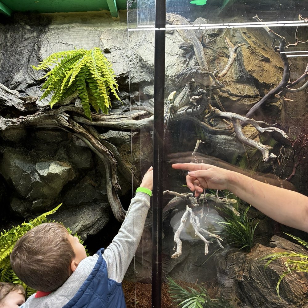 The Reptile Room - Reptile Shops Near Me - Ballwin, Missouri The Reptile Room - Reptile Shops Near Me - Ballwin, Missouri