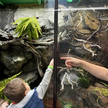 The Reptile Room - Reptile Shops Near Me - Ballwin, Missouri The Reptile Room - Reptile Shops Near Me - Ballwin, Missouri