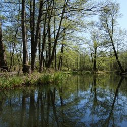 Kleiner Hafen am Mühlenwehr - Beautiful Spree Woods on a perfect Easter Sunday :o)) ... relax relax relax
