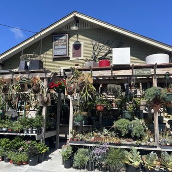 Laguna Nursery - Back by their off the street parking - Nurseries & Gardening Near Me - Laguna Beach, California Laguna Nursery - Back by their off the street parking - Nurseries & Gardening Near Me - Laguna Beach, California