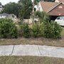 Photo of Yard Boys
