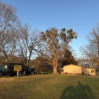 Cowart Tree Service - Giant water oak about to be removed because of massive root decay. - Tree Services Near Me - Danielsville, Georgia Cowart Tree Service - Giant water oak about to be removed because of massive root decay. - Tree Services Near Me - Danielsville, Georgia