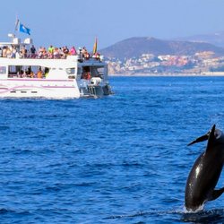 Costasol Cruceros - Catamaran Magic