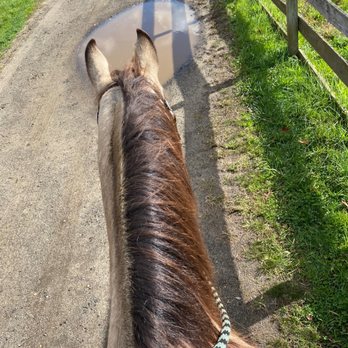 Victory Stables - Hack out with spirit - Horseback Riding Near Me - Colts Neck, New Jersey