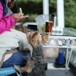 Eleven Gables Inn On the Lake - More food???