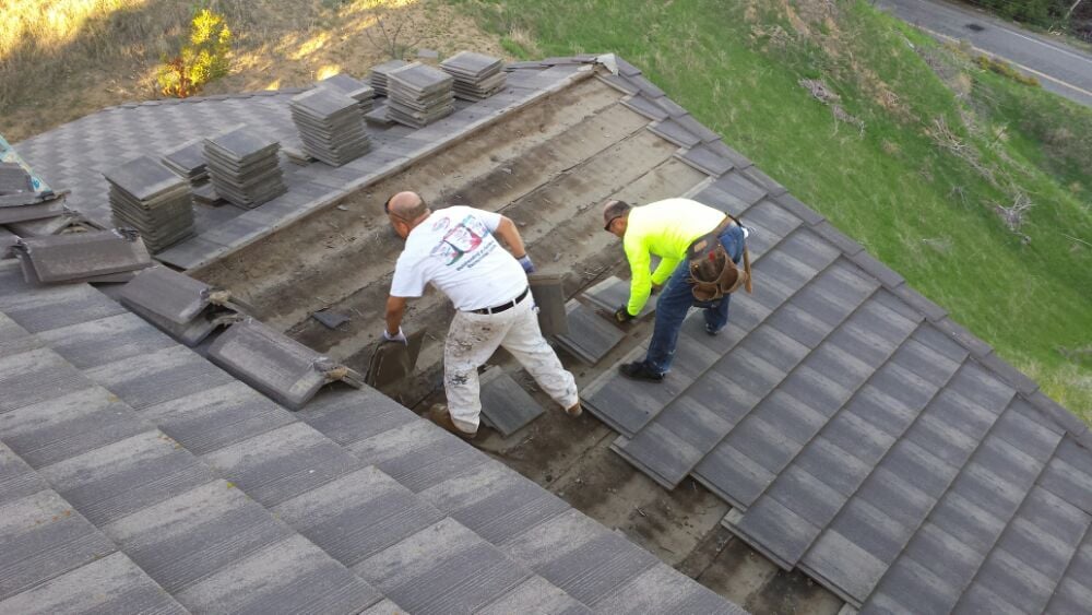 Slide of Born 2 Roof