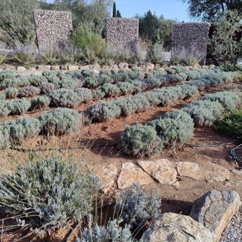 Casadei - Wineries Near Me - Suvereto, LI