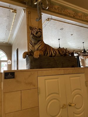 Safari Room Fresh Grill and Bar by null