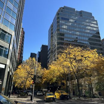 The Magnificent Mile - Autumn on Magnificent Mile - Local Flavor Near Me - Chicago, Illinois