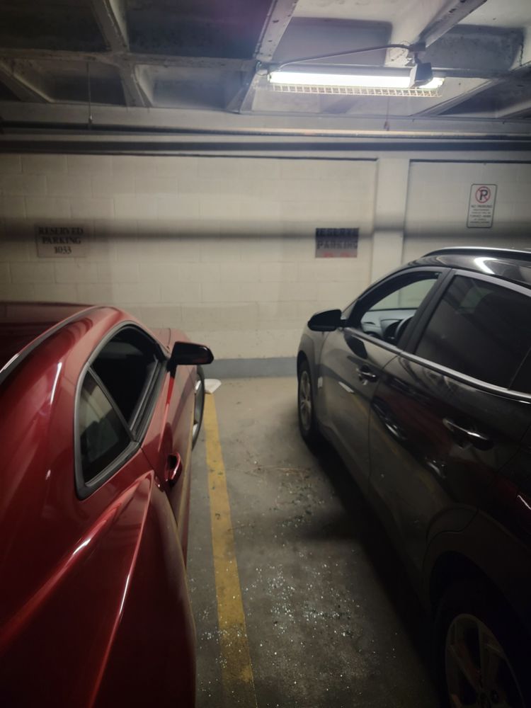 WALNUT TOWER APARTMENTS 42 Photos & 11 Reviews 722 Walnut St