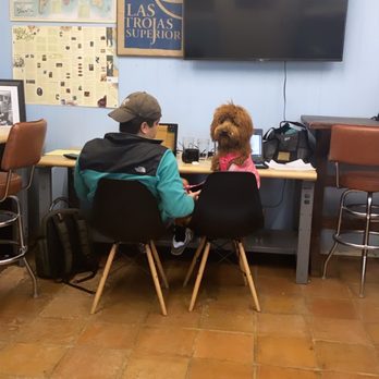 What's Brewing? - Quiet study area - Coffee Roasteries Near Me - San Antonio, Texas What's Brewing? - Quiet study area - Coffee Roasteries Near Me - San Antonio, Texas