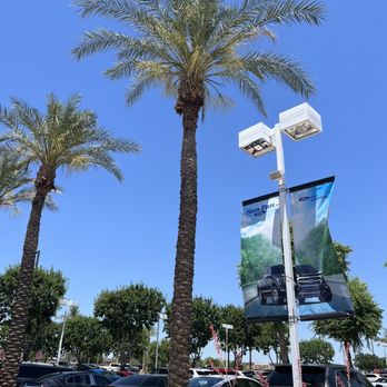 Professional Tree Monkeys - Picture of the size of the tree - Tree Services Near Me - Tempe, Arizona Professional Tree Monkeys - Picture of the size of the tree - Tree Services Near Me - Tempe, Arizona