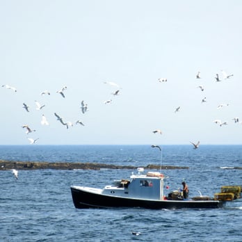 Casco Bay Lines - Lobster boat with hecklers! - Public Transportation Near Me - Portland, Maine Casco Bay Lines - Lobster boat with hecklers! - Public Transportation Near Me - Portland, Maine