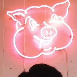 Pignic - The logo