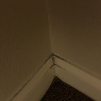 Advantage Property Management - Mold and dirt - Real Estate Services Near Me - Corvallis, Oregon