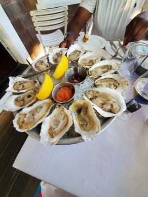 Alchemy Bistro & Bar by null