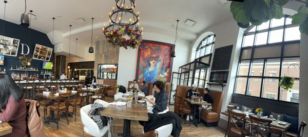 Divina Modern Italian by null