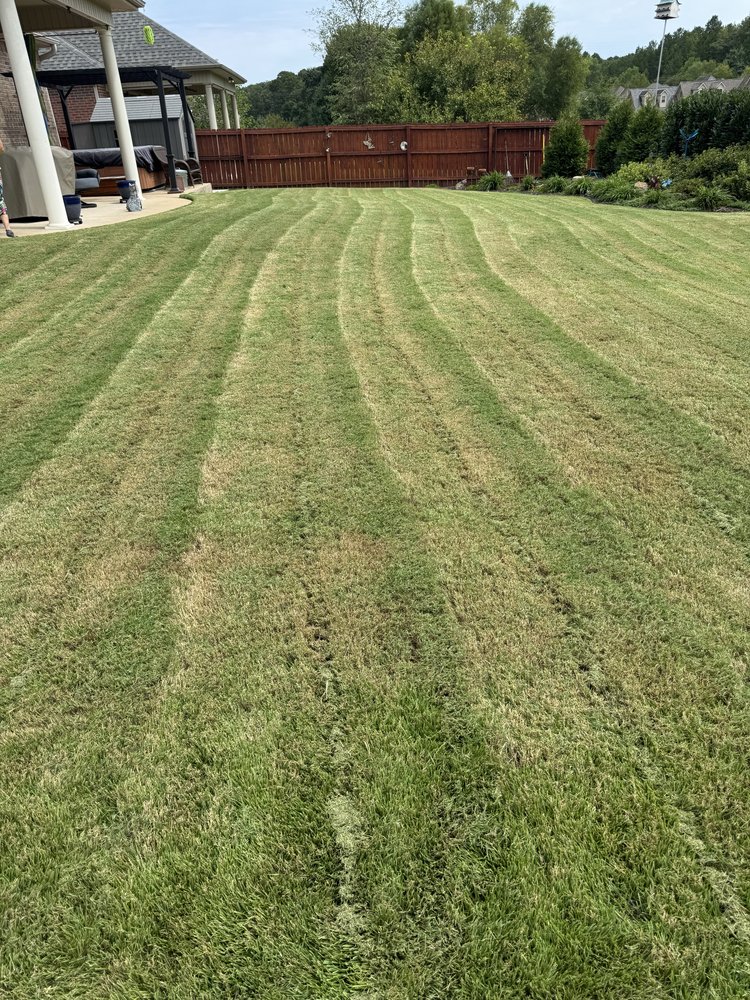 Cobb’s Lawn Care Services - veterans service organization in Hot Springs, AR