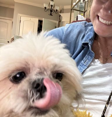 Mt Juliet Animal Clinic