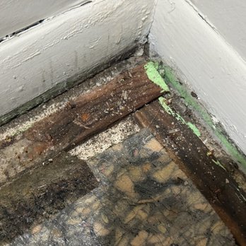 Indoor Green Solutions - Current existing mold and moisture under the carpet that was supposed to have been replaced, but was not. - Damage Restoration Near Me - Gaithersburg, Maryland Indoor Green Solutions - Current existing mold and moisture under the carpet that was supposed to have been replaced, but was not. - Damage Restoration Near Me - Gaithersburg, Maryland