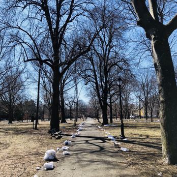 Wooster Square Park - Finally melting..! - Parks Near Me - New Haven, Connecticut Wooster Square Park - Finally melting..! - Parks Near Me - New Haven, Connecticut